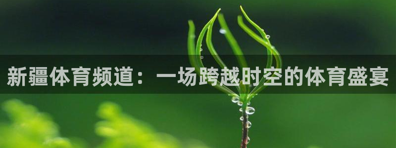 新疆体育频道：一场跨越时空的体育盛宴