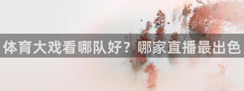 体育大戏看哪队好？哪家直播最出色