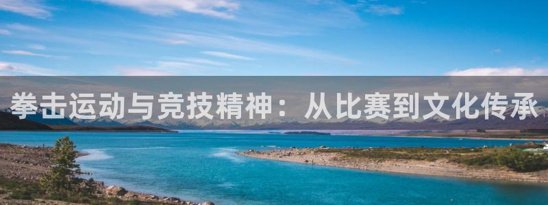 拳击运动与竞技精神：从比赛到文化传承
