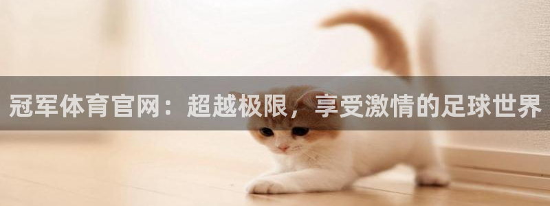 冠军体育官网：超越极限，享受激情的足球世界
