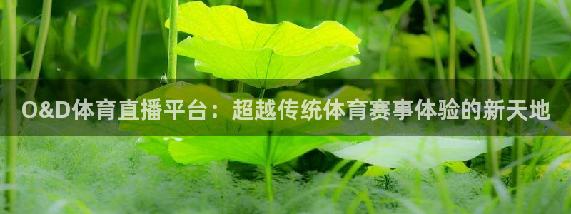 O&D体育直播平台：超越传统体育赛事体验的新天地