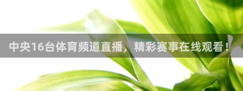 中央16台体育频道直播，精彩赛事在线观看！