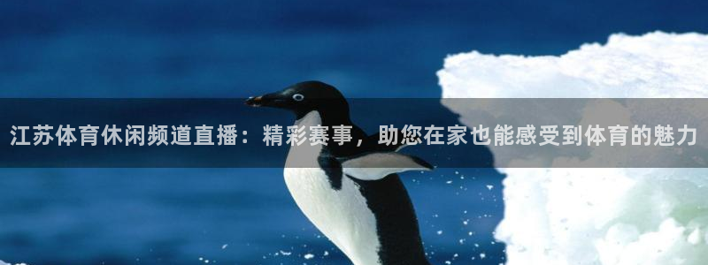 江苏体育休闲频道直播：精彩赛事，助您在家也能感受到体育的魅力