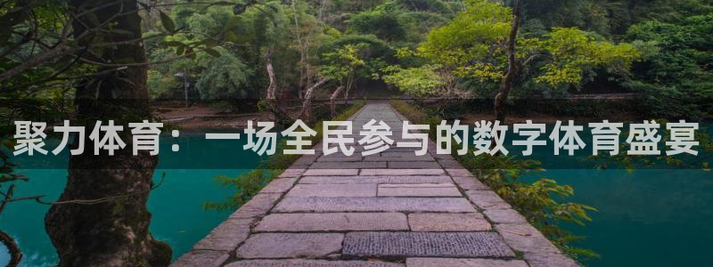 聚力体育：一场全民参与的数字体育盛宴