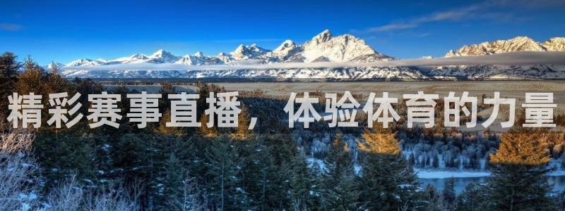 精彩赛事直播，体验体育的力量