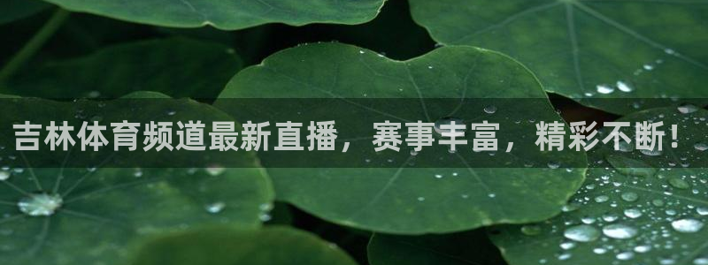 吉林体育频道最新直播，赛事丰富，精彩不断！