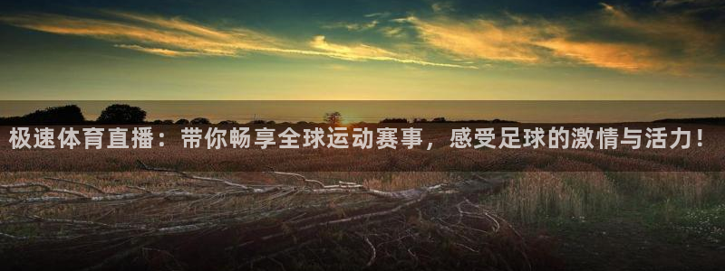 极速体育直播：带你畅享全球运动赛事，感受足球的激情与活力！