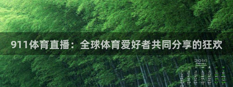 911体育直播：全球体育爱好者共同分享的狂欢