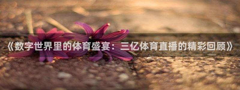 《数字世界里的体育盛宴：三亿体育直播的精彩回顾》