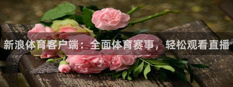 新浪体育客户端：全面体育赛事，轻松观看直播
