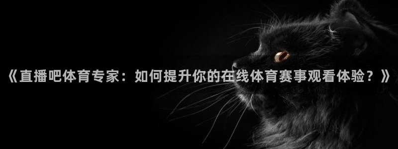 《直播吧体育专家：如何提升你的在线体育赛事观看体验？》