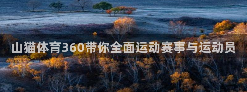 山猫体育360带你全面运动赛事与运动员