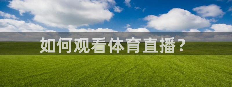 如何观看体育直播？