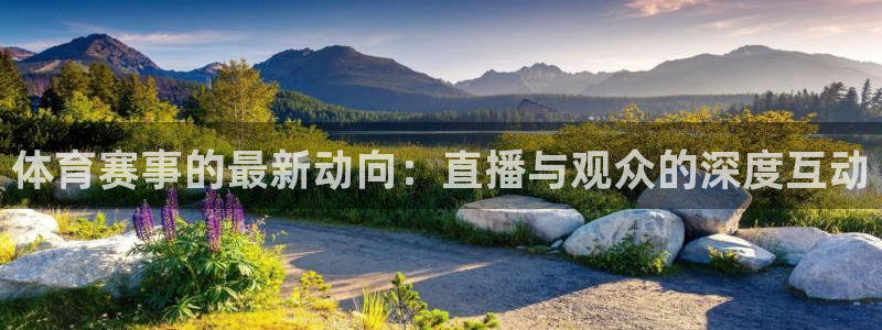 体育赛事的最新动向：直播与观众的深度互动