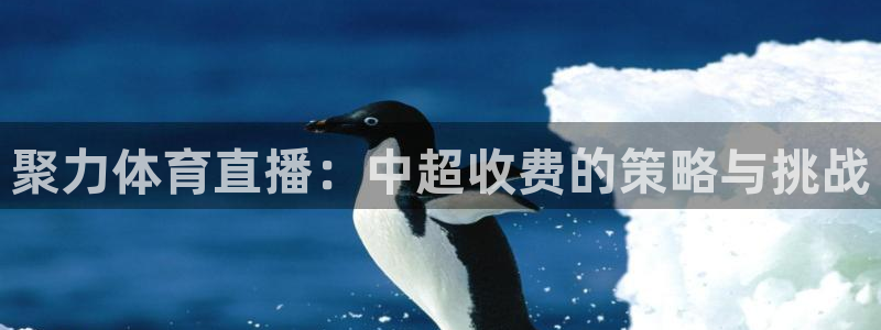 聚力体育直播：中超收费的策略与挑战