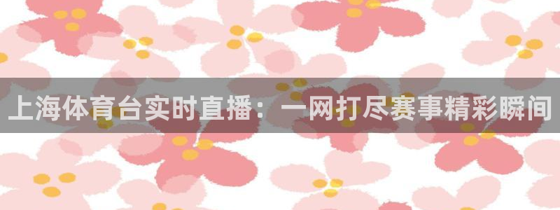 上海体育台实时直播：一网打尽赛事精彩瞬间