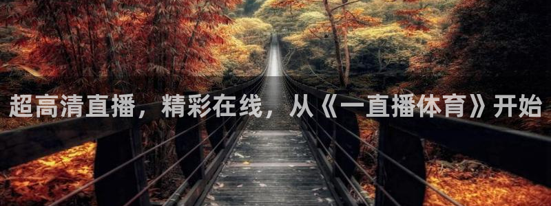 超高清直播，精彩在线，从《一直播体育》开始