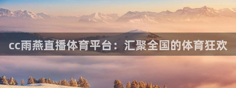 cc雨燕直播体育平台：汇聚全国的体育狂欢
