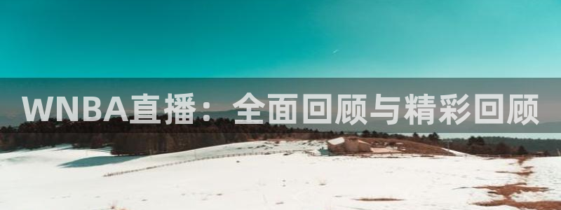 WNBA直播：全面回顾与精彩回顾